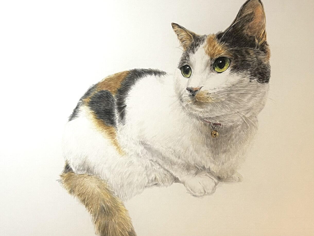 心を込めたペットの似顔絵描きます 大切な家族を色鉛筆で命を吹き込みます イメージ2