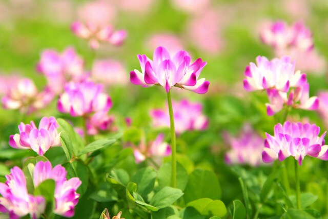 分かってもらえないツラさ寄り添ってお聞きします 憂鬱で動けない、納得いかない事、あなたのせいではありません イメージ2