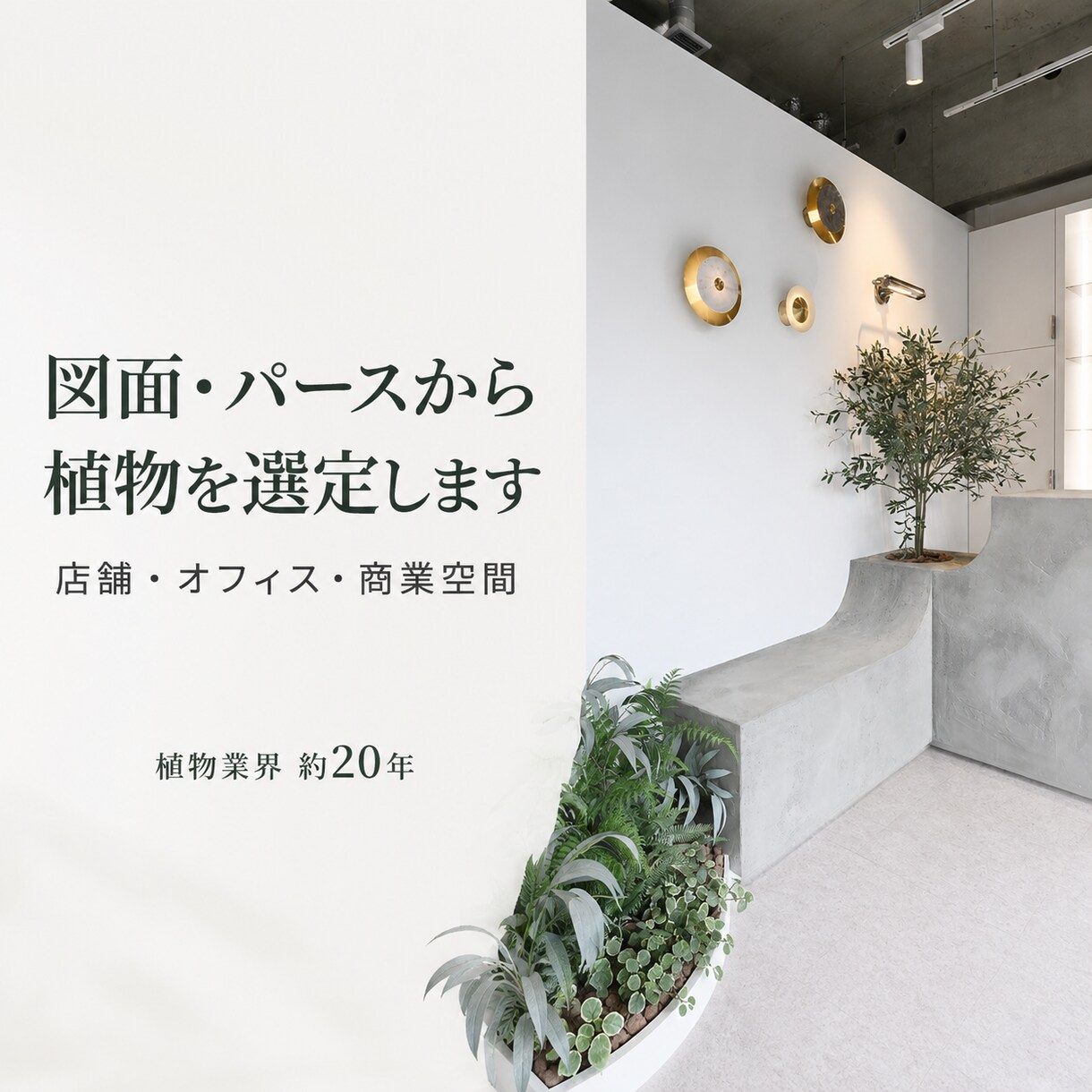 図面・パースから植物を選定します 植物・鉢・配置・管理条件まで提案します イメージ1