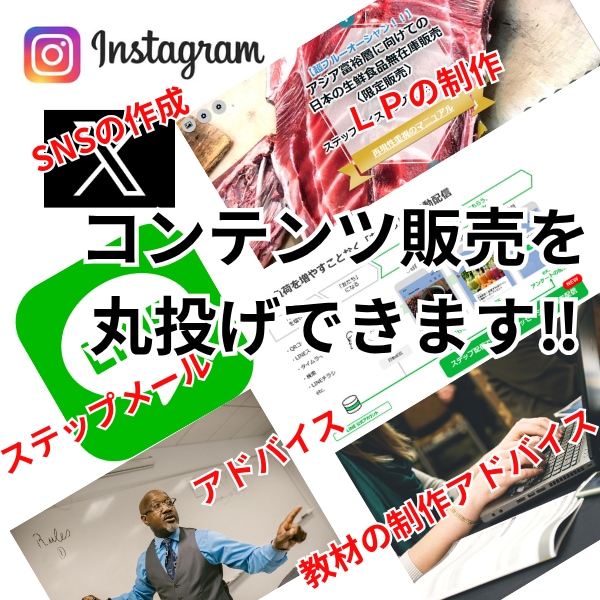 貴方のオリジナルコンテンツ販売の導線を作りあげます インスタからステップ配信そしてＬＰまでの全てをお任せ下さい！ イメージ1