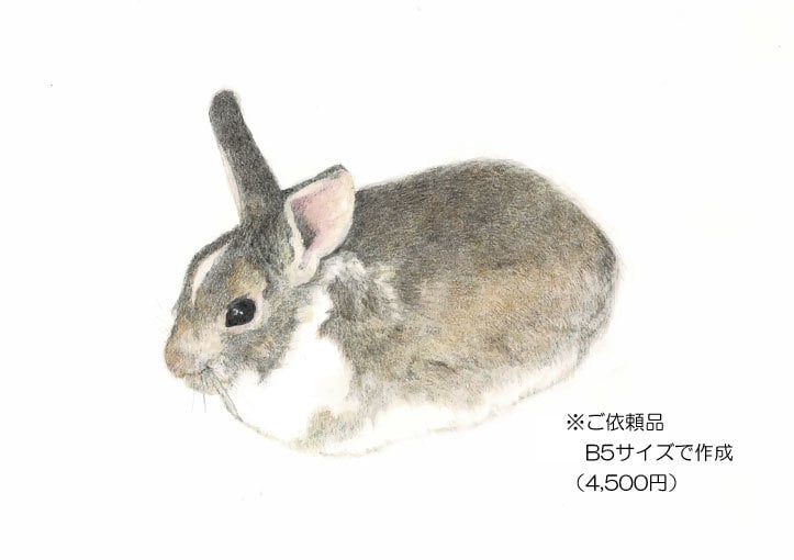 原画郵送：写真からペット肖像画を色鉛筆で描きます 大切な「うちの子」を、世界に一枚だけの手描き作品に イメージ3