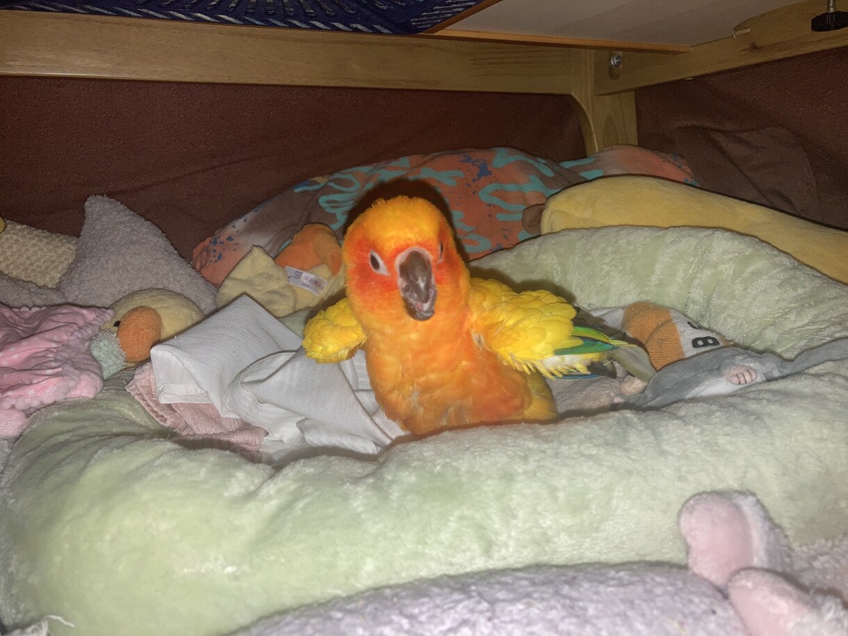 心の中にしまっている思いを何でもお聴きします ちょっと聴いてもらいたいだけでも構いません。 イメージ4