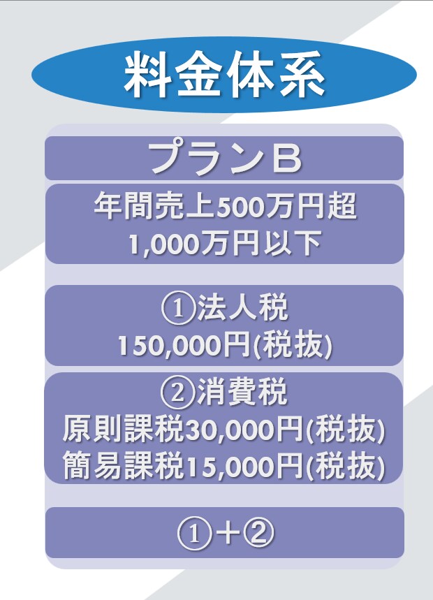 12月決算法人の申告を代行致します 決算書・申告書作成から電子申告による提出まで承ります！ イメージ3