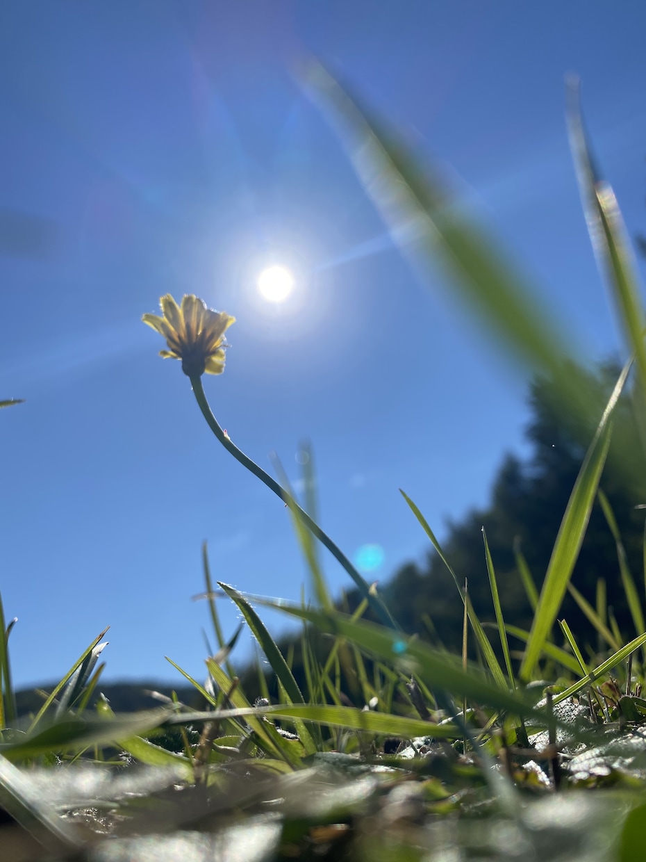 悩み、愚痴、不満なんでも聞きます だってにんげんだもの。感じている事全部聞きます。 イメージ1