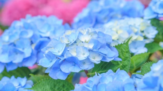 職場での不満、お聞きします パワハラ セクハラ 職場のストレス  人間関係 イメージ2
