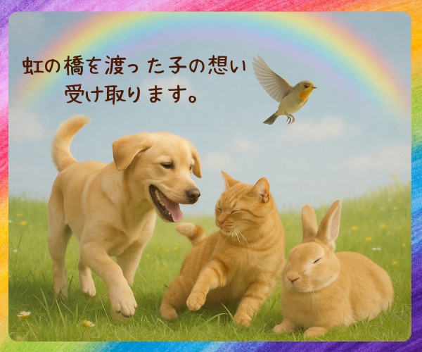 亡くなった後も貴方を側で見守るペットと繋がります 虹の橋の向こうから届く、あなたへのメッセージ イメージ1