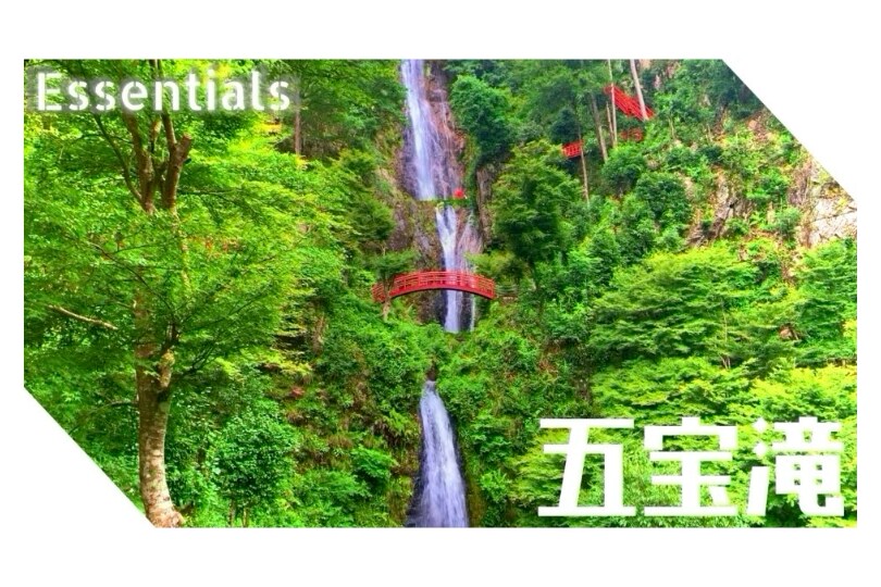 Youtube等の高クオリティ編集承ります 動画編集をコスパよく高クオリティで外注したい方へ！ イメージ4
