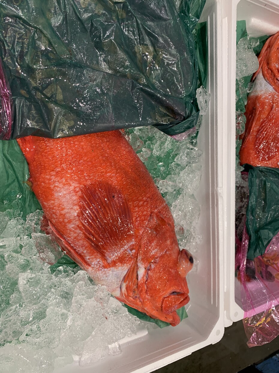 お探しの食材（海鮮,魚）販売先教えます 豊洲市場内、仲卸のことならなんでも聞いてください イメージ7