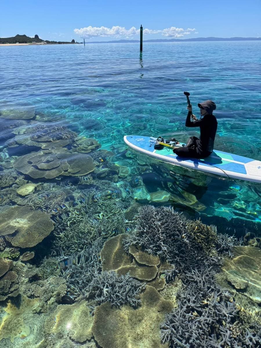 温泉・離島・断食！心身を癒す旅を提案します 有資格者＆離島・温泉好きが、あなたにぴったりの癒やし旅を伝授 イメージ3
