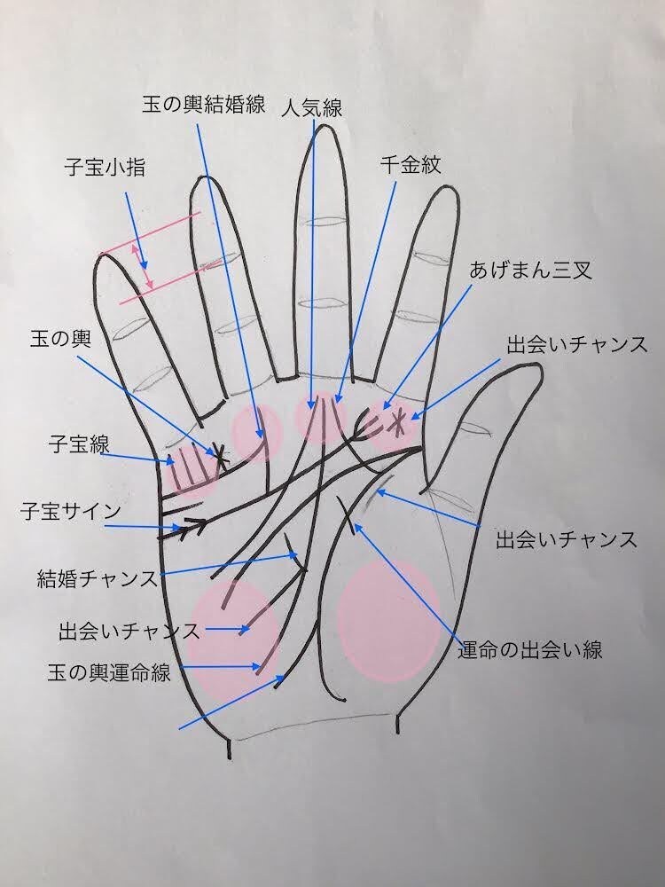 あかちゃん歓迎お子様の手相占います 手相でお子様が小さい内に秘めた才能を発見し伸ばしていきます。 イメージ4