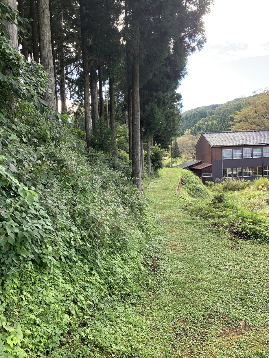 秘密厳守！2日間！メールで何でも聞きます 愚痴・不安・寂しさ・話し合い手・なんでもどうぞ！ イメージ1