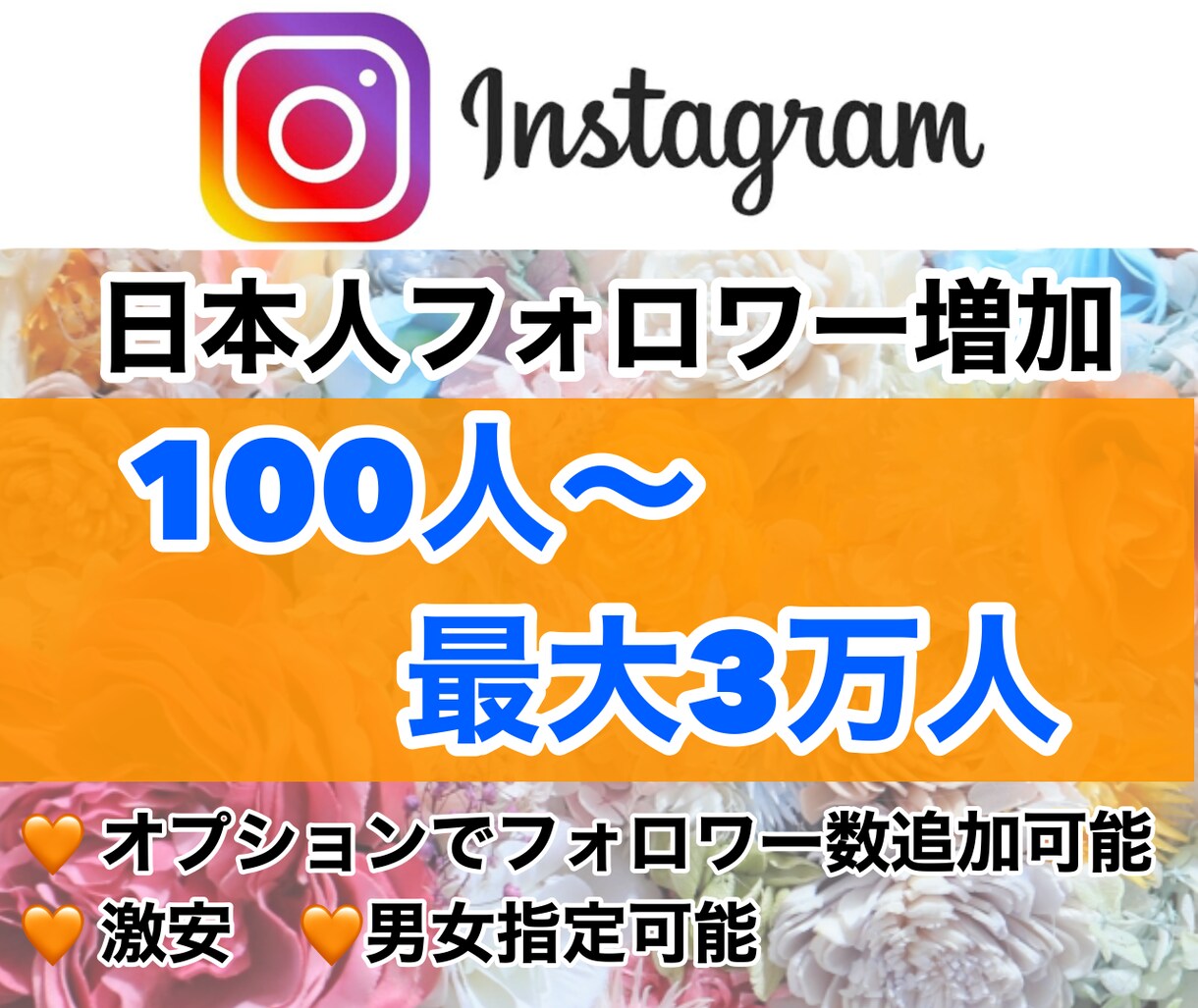 Instagramの日本人フォロワー増やします 男女指定可能な日本人フォロワーが100人増えます！激安 イメージ1