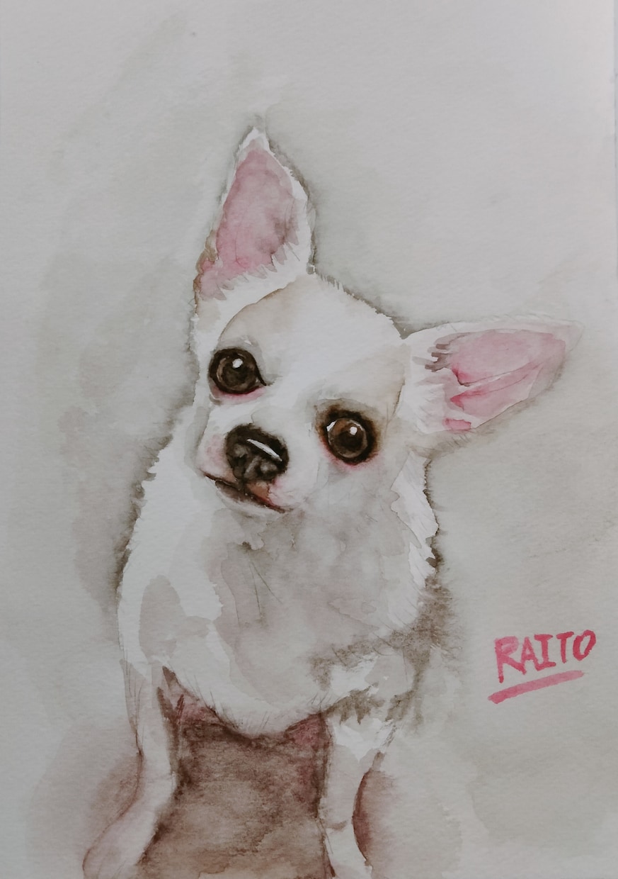 あなたの大切な愛犬を水彩で描きます 淡い色合いで、ピンク色で名前を入れます！原画発送無料 イメージ1