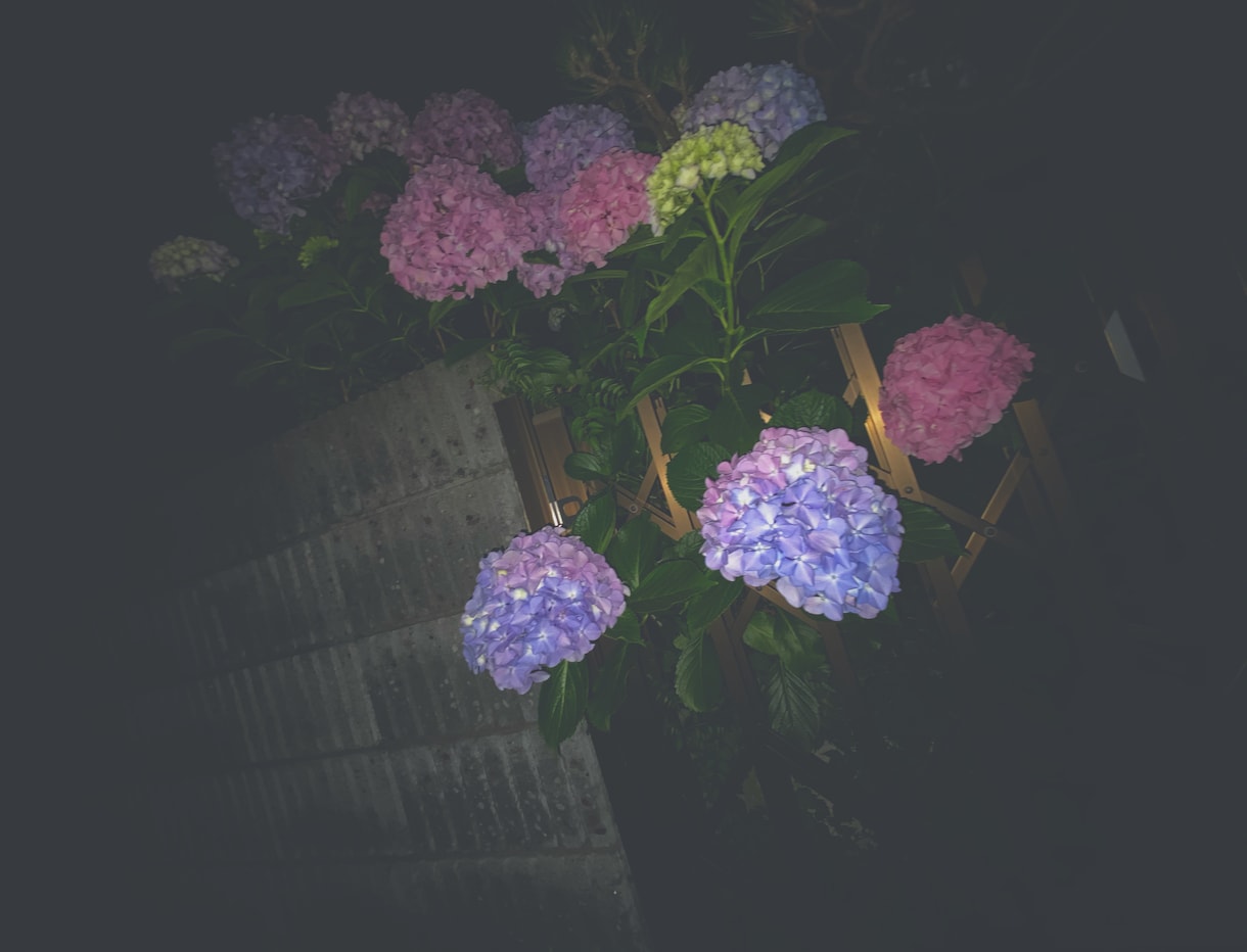 写真を映えるようによりよく加工します 時間がない！早くSNSに投稿したいあなたに！写真加工お任せ！ イメージ6