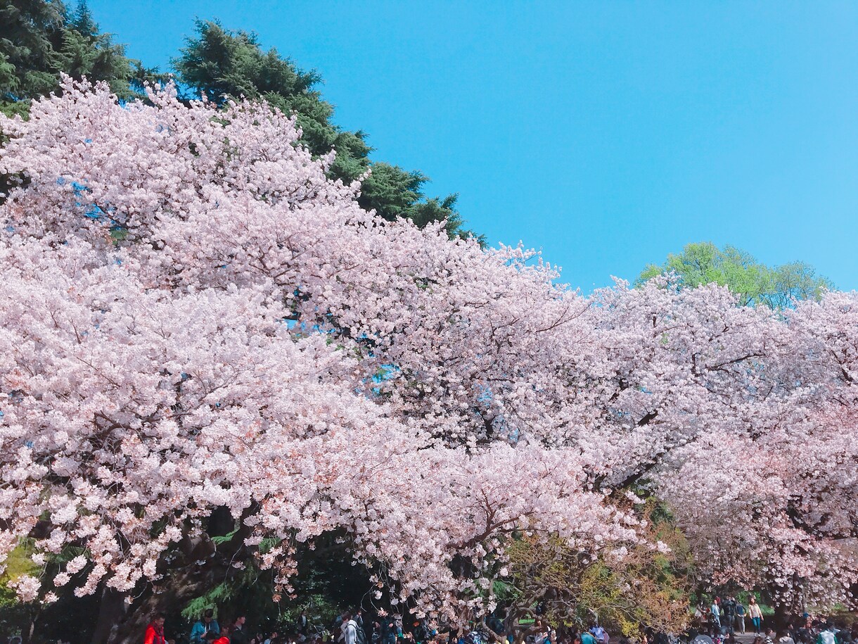 3日間お話相手になります 毎日の生活に癒しと褒めが足りないあなたへ イメージ1