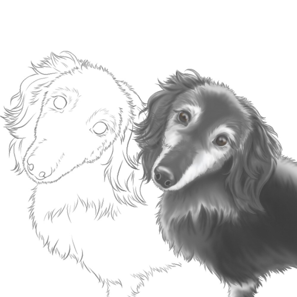 うちの子塗り絵お描きします ペットなどのお好きな動物を自分色で彩ってみませんか イメージ2