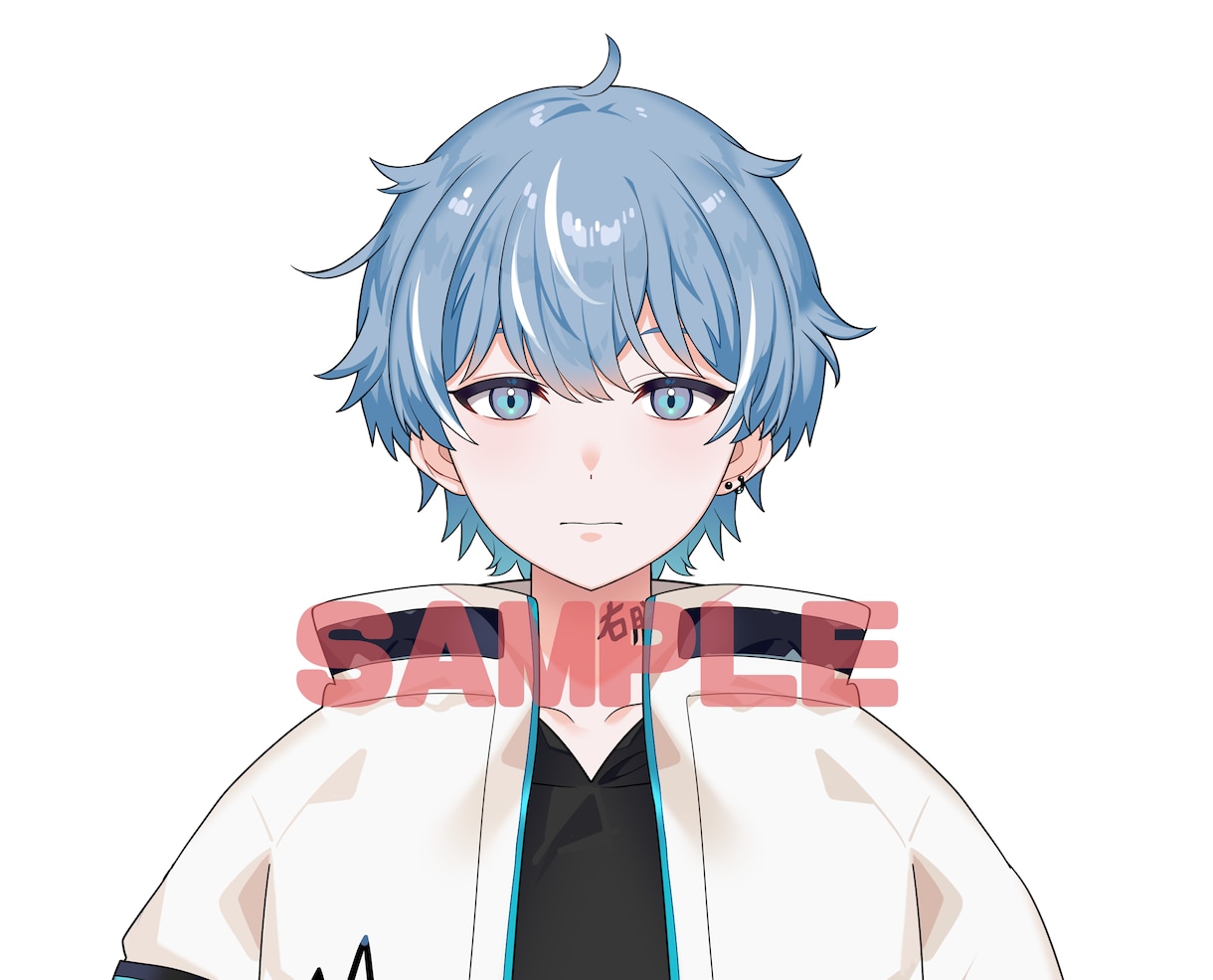 キャラデザ/一枚絵/Live2D お描きします 丁寧かつ迅速に対応させていただきます。 イメージ3