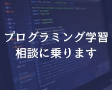 プログラミング学習の相談に乗ります フリーランスのメリデメや最短でなる方法をわかりやすく説明！ イメージ1
