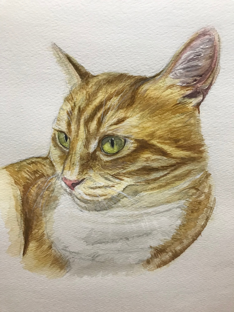 ペットの肖像画のお描きします ペットのかわいらしい姿を鉛筆画または水彩画でお描きします イメージ5