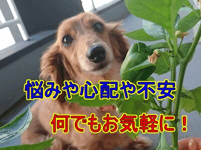 貴方の不安や悩みは何ですか？何でも聞きます とりあえず何かを話したい人必見！ イメージ1