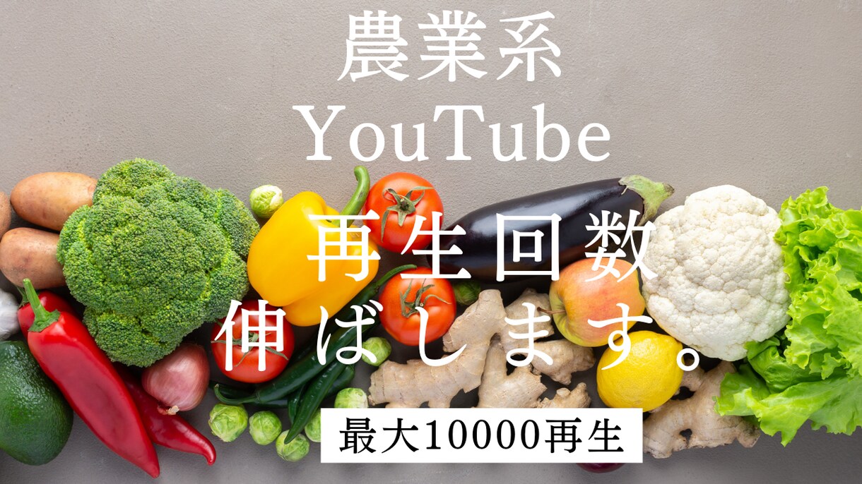 1000再生数まで拡散を続けます YouTubeの再生回数を伸ばすお手伝いを致します。 イメージ1