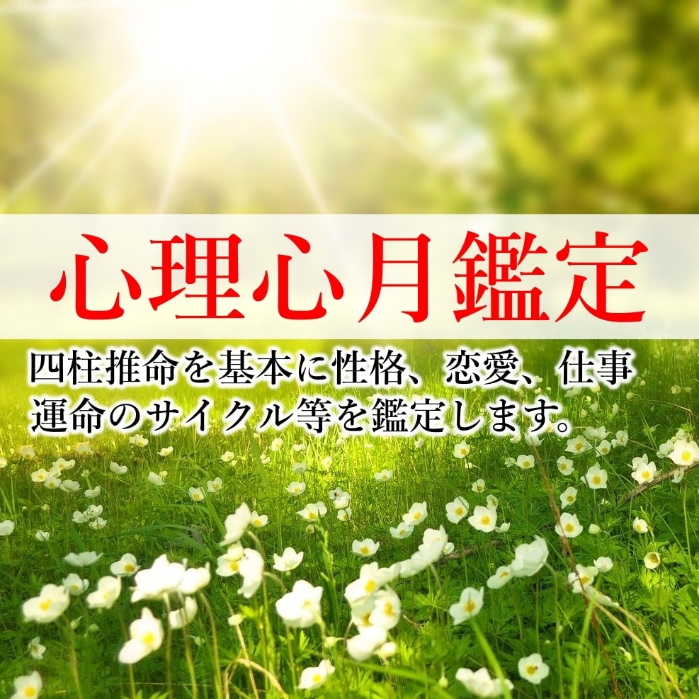 心理心月鑑定で性質、素質、性格を鑑定します 仕事、恋愛、健康、金運、運命のサイクルの開運時期など イメージ1