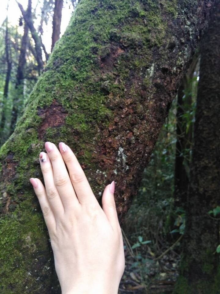 ニュージーランド(南島)のおすすめスポット教えます 地元民の視点でおすすめな場所やお店の情報を提供します♪ イメージ1