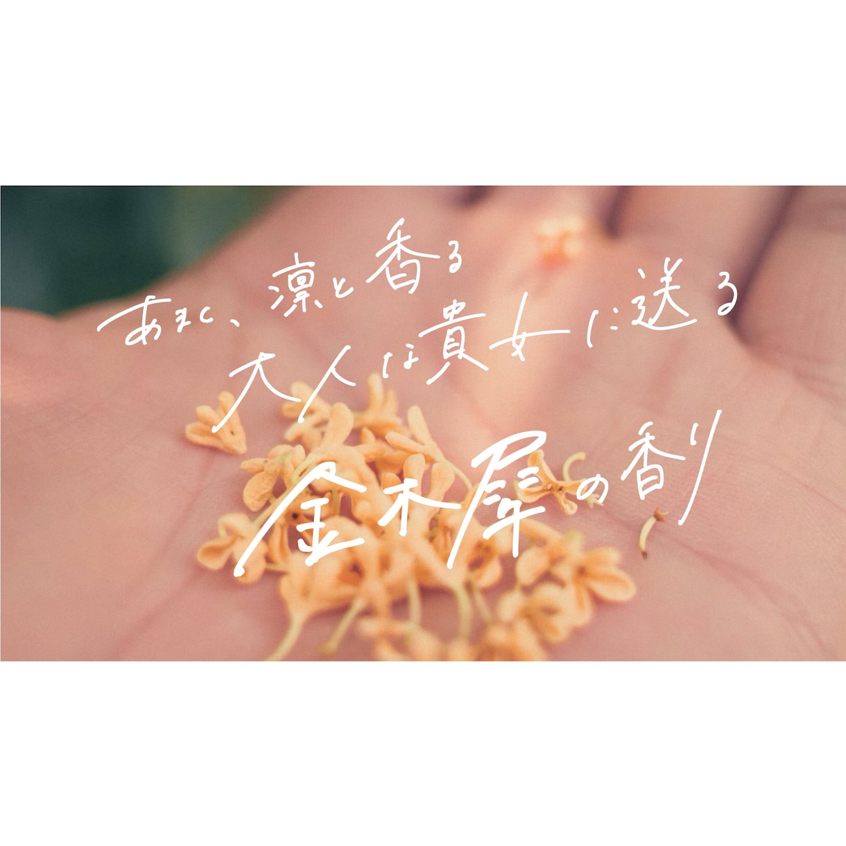 デザイン手書き文字を作成します あなたの「伝えたい」に寄り添うデザイン文字 イメージ10