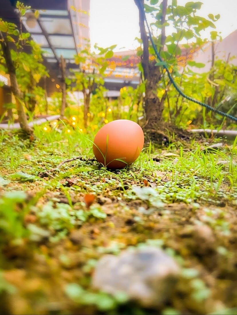 写真加工や、シンガポールにある物の写真を撮ります 依頼主の満足いくまで！何度もやり直します！ イメージ6