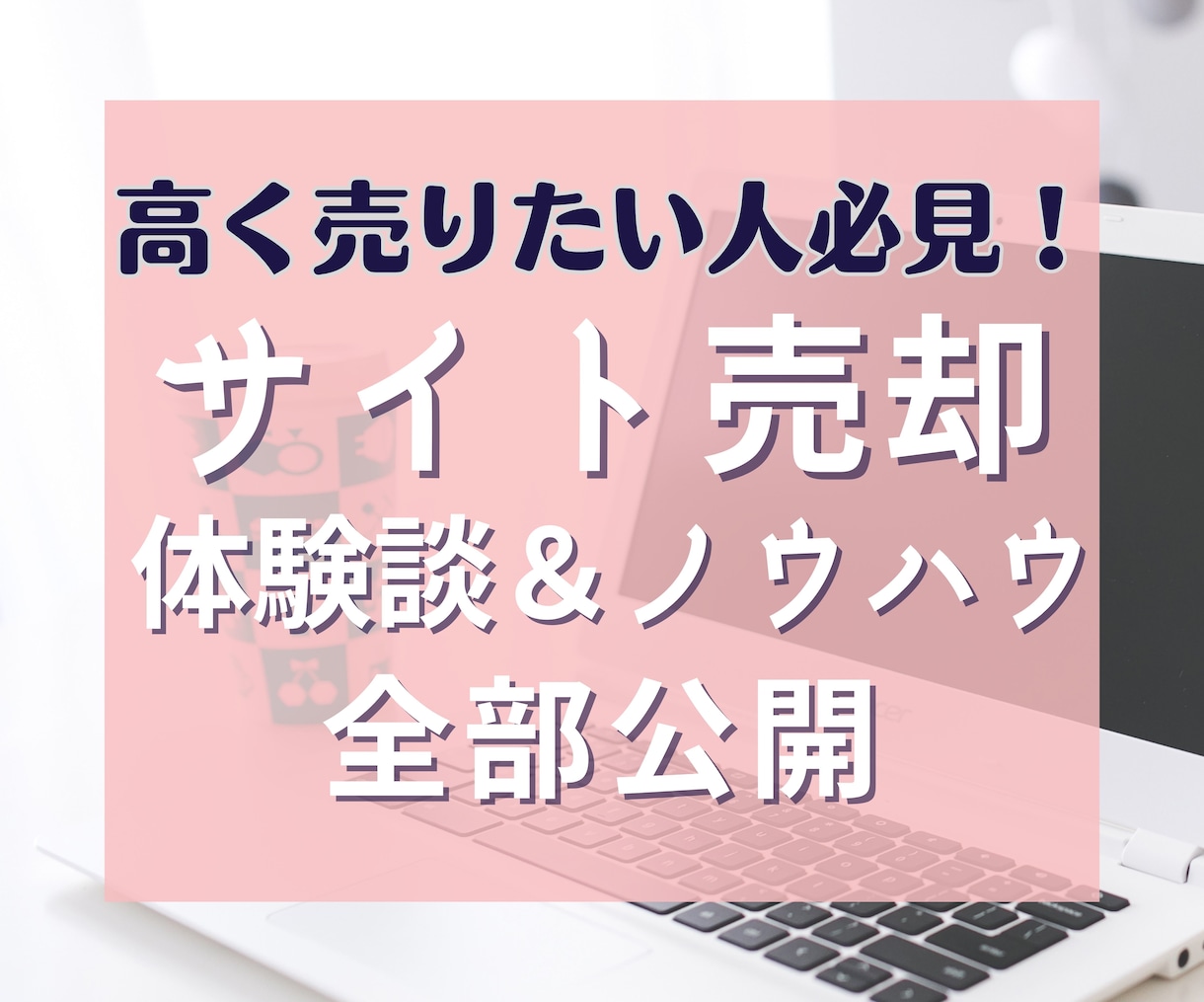 サイト売却の体験談とノウハウを販売します 実際の成功談＆失敗談と、それに基づくノウハウをまとめました イメージ1