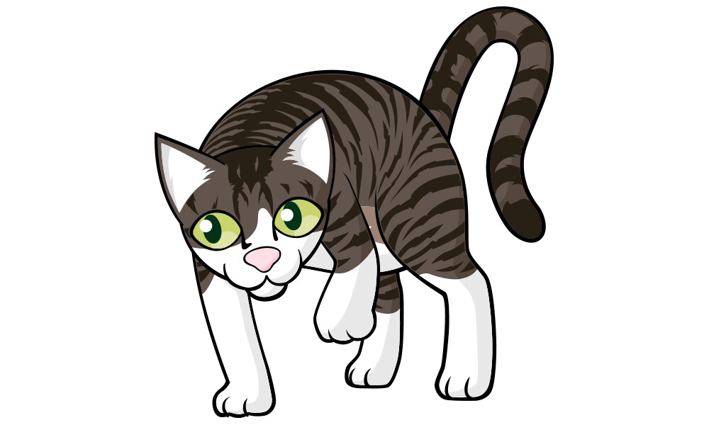 猫のデジタル似顔イラストをあすたのタッチで描きます スタジオあすたの「そこそこリアルタッチ」は猫好きの方向けです イメージ7