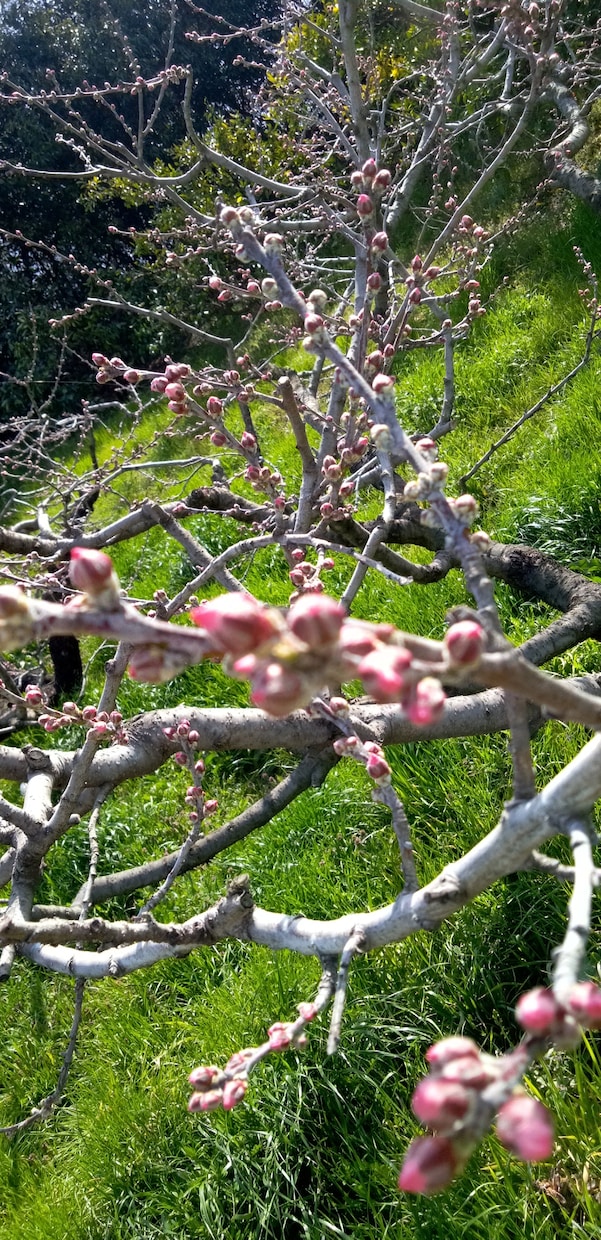 こんな写真をとご要望が頂ける様精進いたします どのような写真がご入り用ですか。 イメージ6