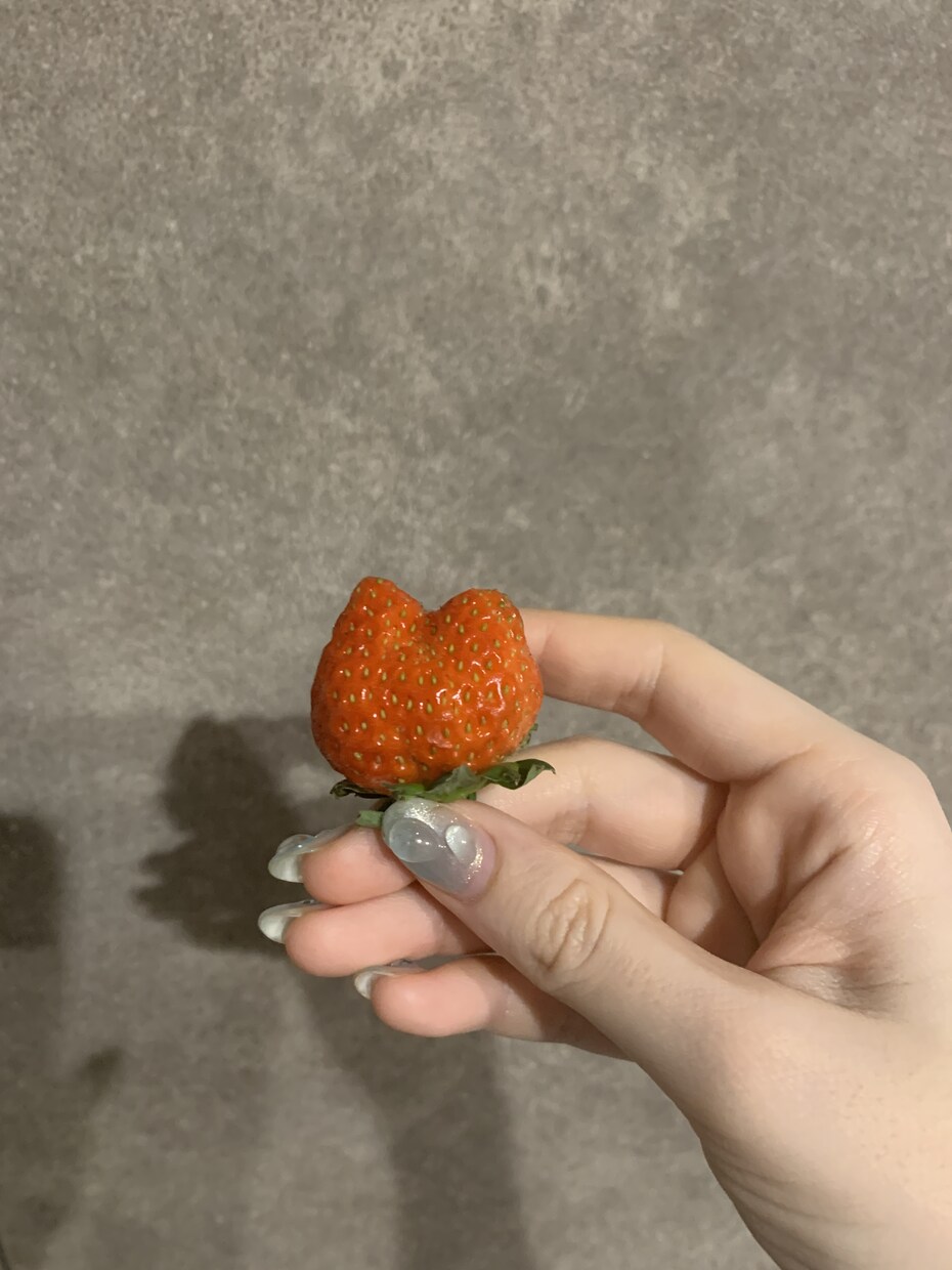ハンドモデル　肌の白さに自信があります 美白な手をぜひご活用ください。 イメージ2