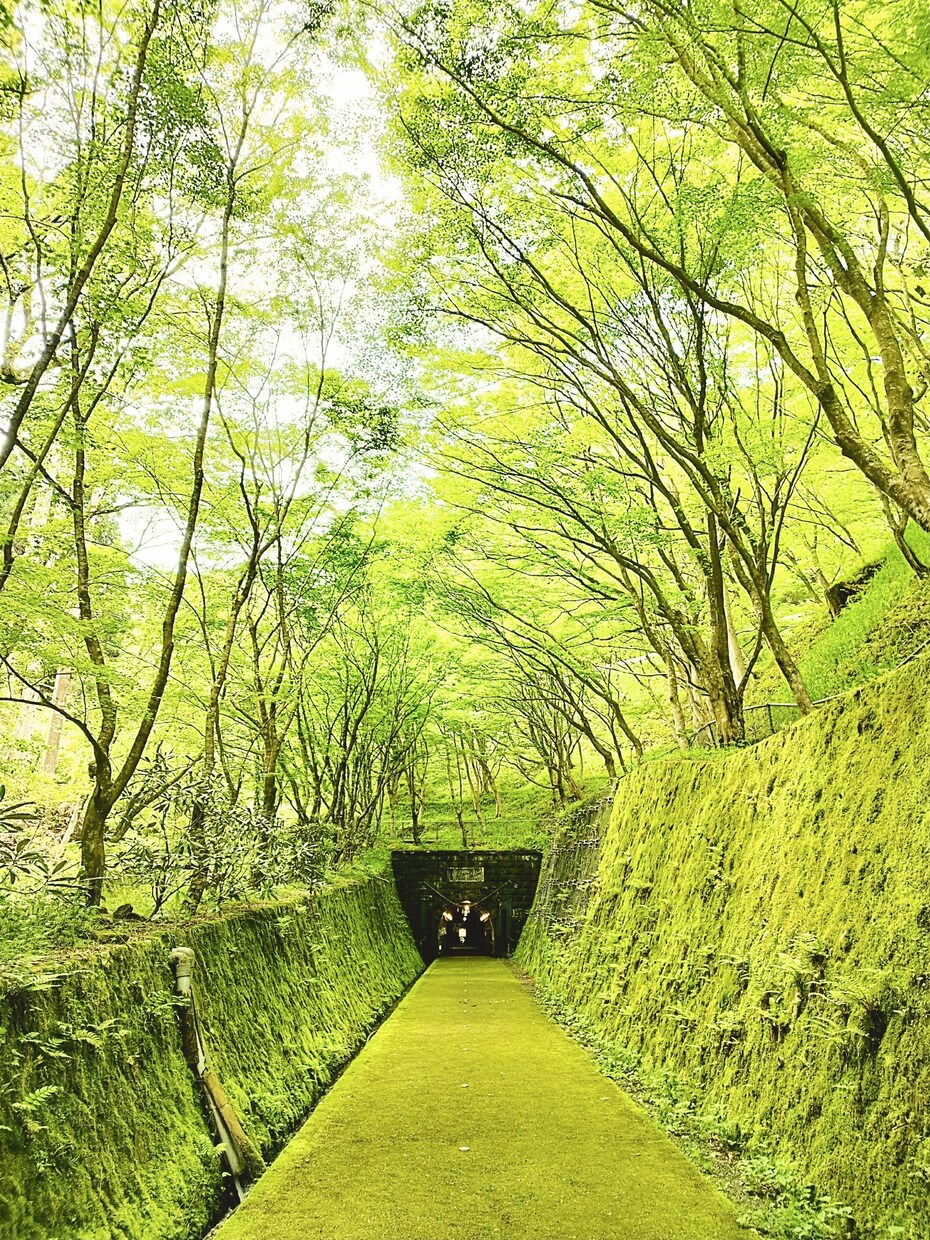 写真を加工し、雰囲気を変えます 写真の雰囲気をガラッと変える!短時間で提供! イメージ2