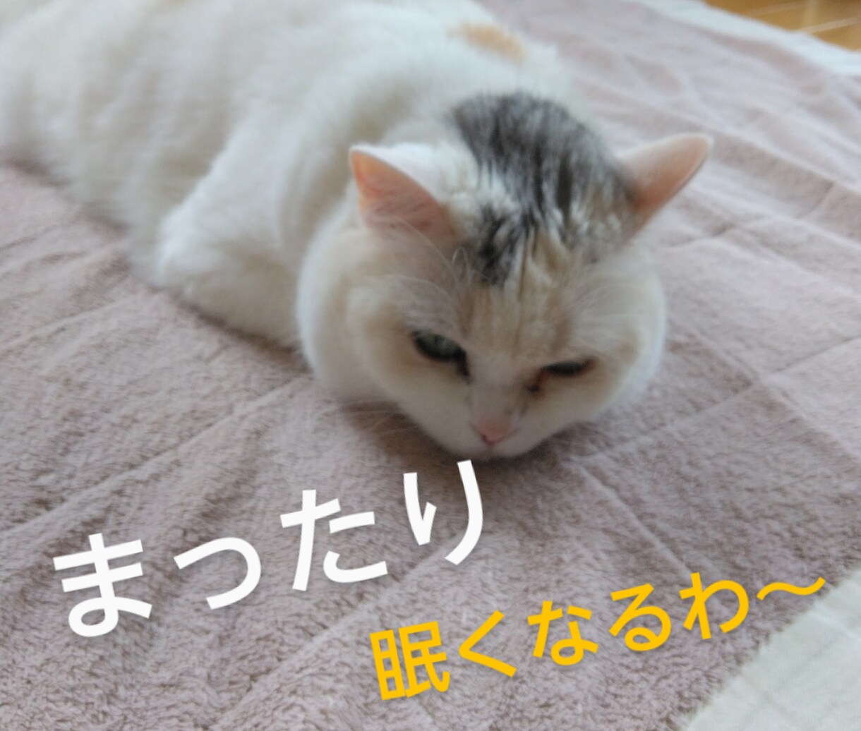 眠れない夜★☆眠くなるまでとことんお付き合いします 今日もお疲れさま♡気分転換　雑談　傾聴　お休みコール　膝枕 イメージ6