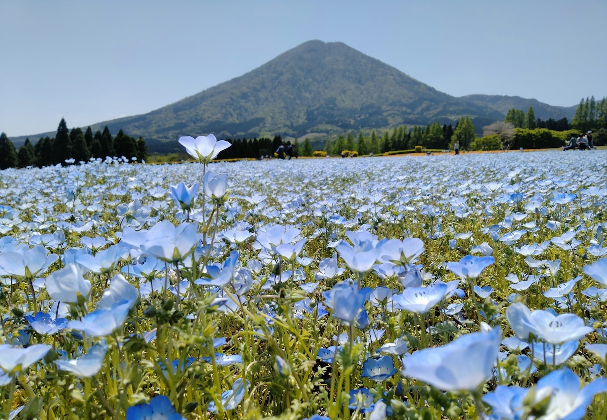 会話を通して自然な日本語を身につけます リラックスして話しましょう。間違えても大丈夫！ イメージ1