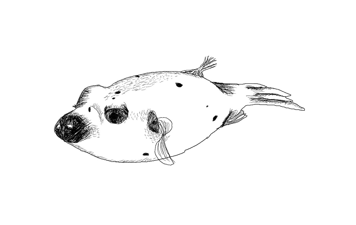 動物、虫などの生き物、人、なんでもイラストにします 線画でなんでも描きます♪どうぞお気軽にご相談下さい♪ イメージ4