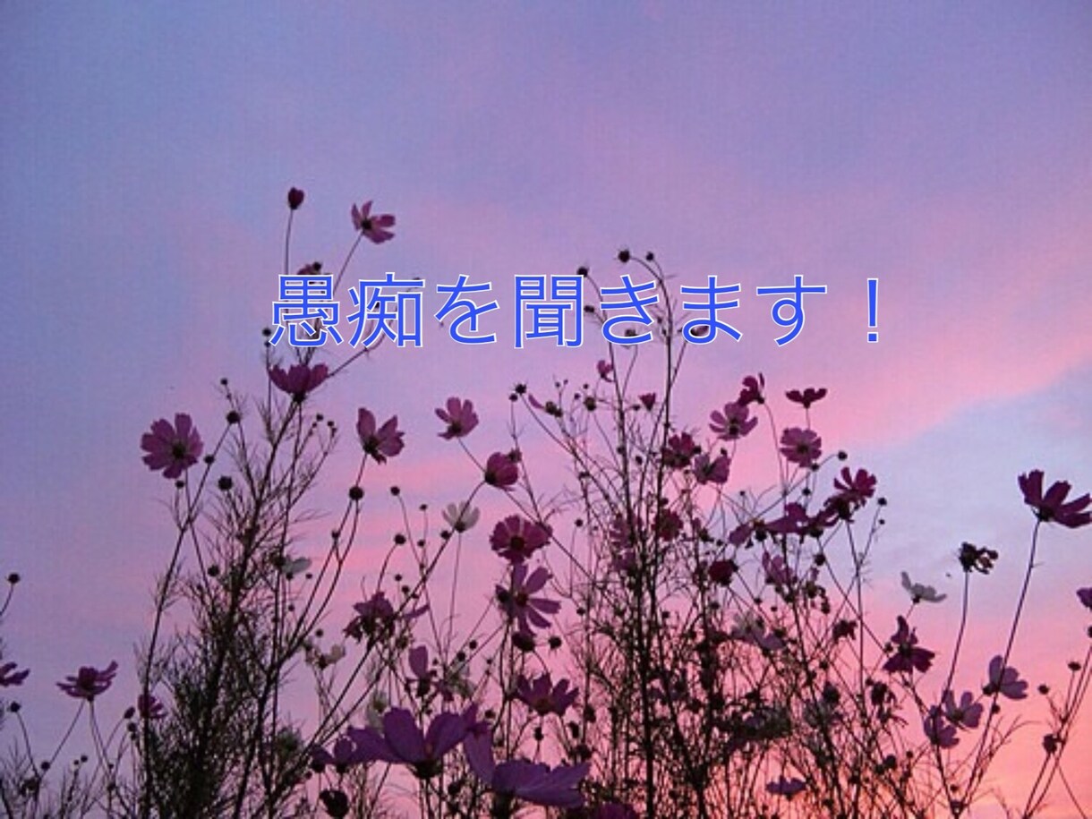 上司、先輩、家族、後輩ます 日頃の心の中に溜めているものを吐き出して見ませんか？ イメージ1