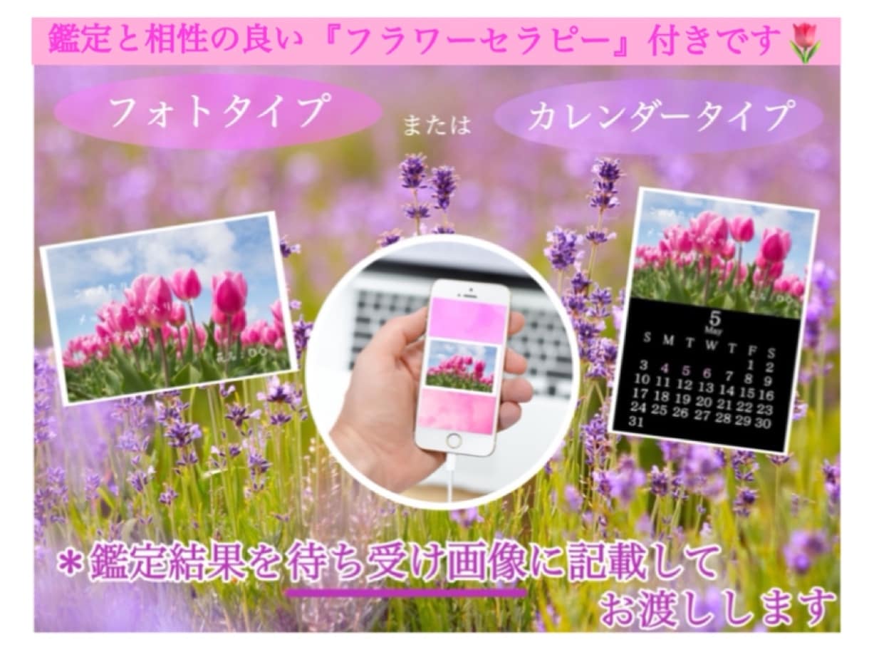 恋愛／仕事／未来 ◆ オラクルカードで鑑定します 【名前・生年月日不要】蝶からの前向きになれるアドバイス イメージ2