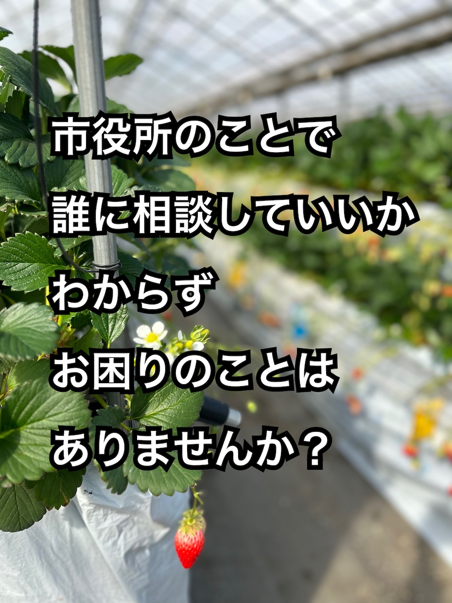 12,000件市民対応した元役所職員が相談受けます お悩みに親身になって傾聴し、メッセージ相談受け付けます。 イメージ1