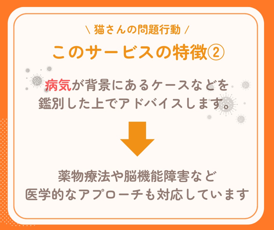 行動専門獣医師が猫の"困った行動"を解決します ★出品記念の為、初回3名まで最低価格でお受けします★ イメージ7