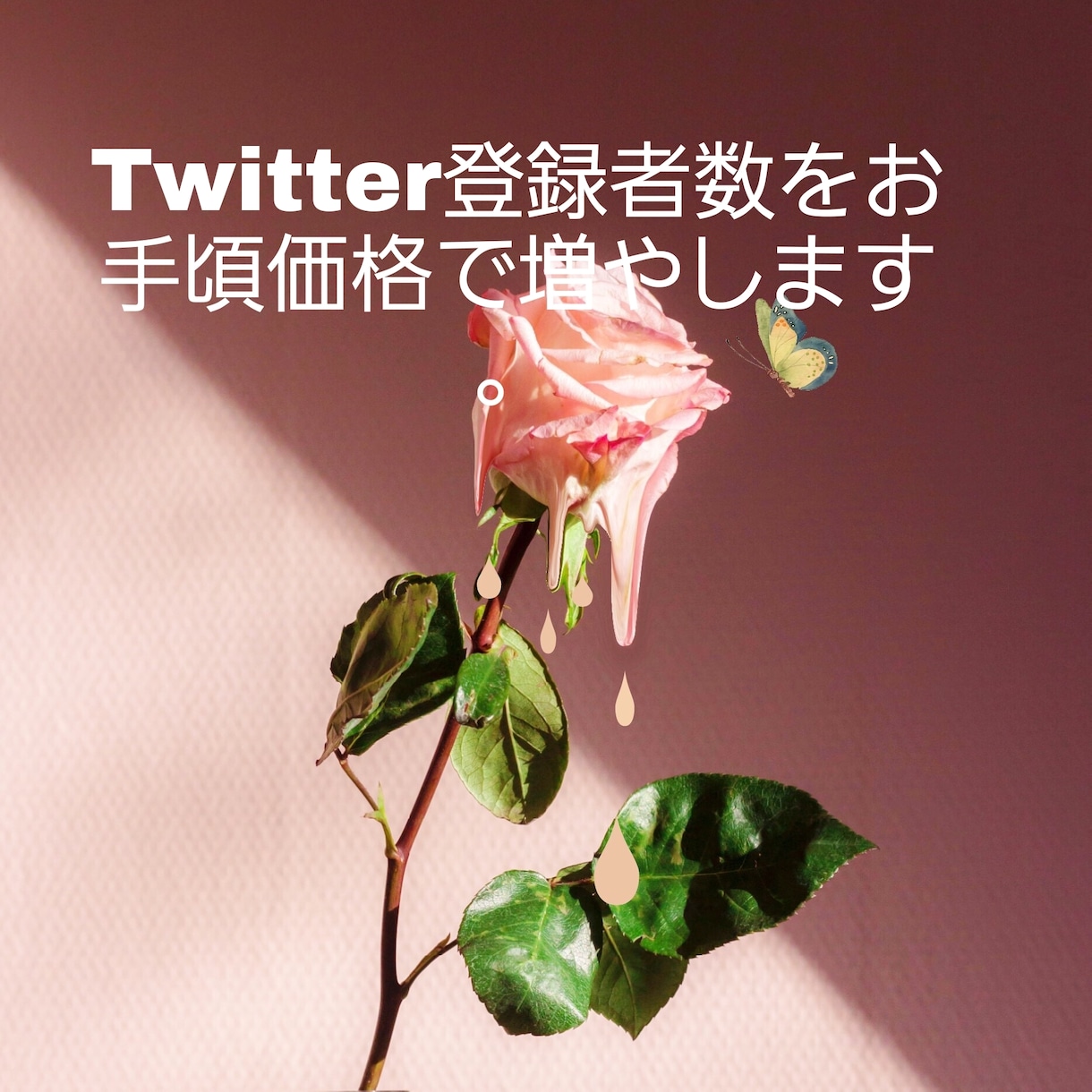 Twitterフォロワーを格安で100人増やします Twitterフォロワー数を+100人増えるまで拡散します イメージ2