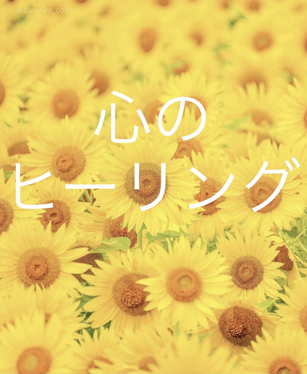ちょっと誰かと話したい時のカウンセリング致します 心のヒーリング／貴方の心が少しでも軽くなるお手伝い イメージ1