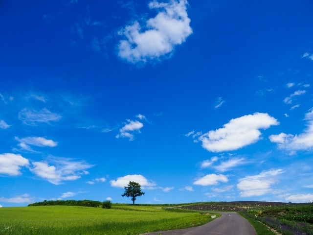言いたいけど我慢してること、親身に聴きます 溜め込まないで、スッキリしませんか？丁寧に傾聴します イメージ5