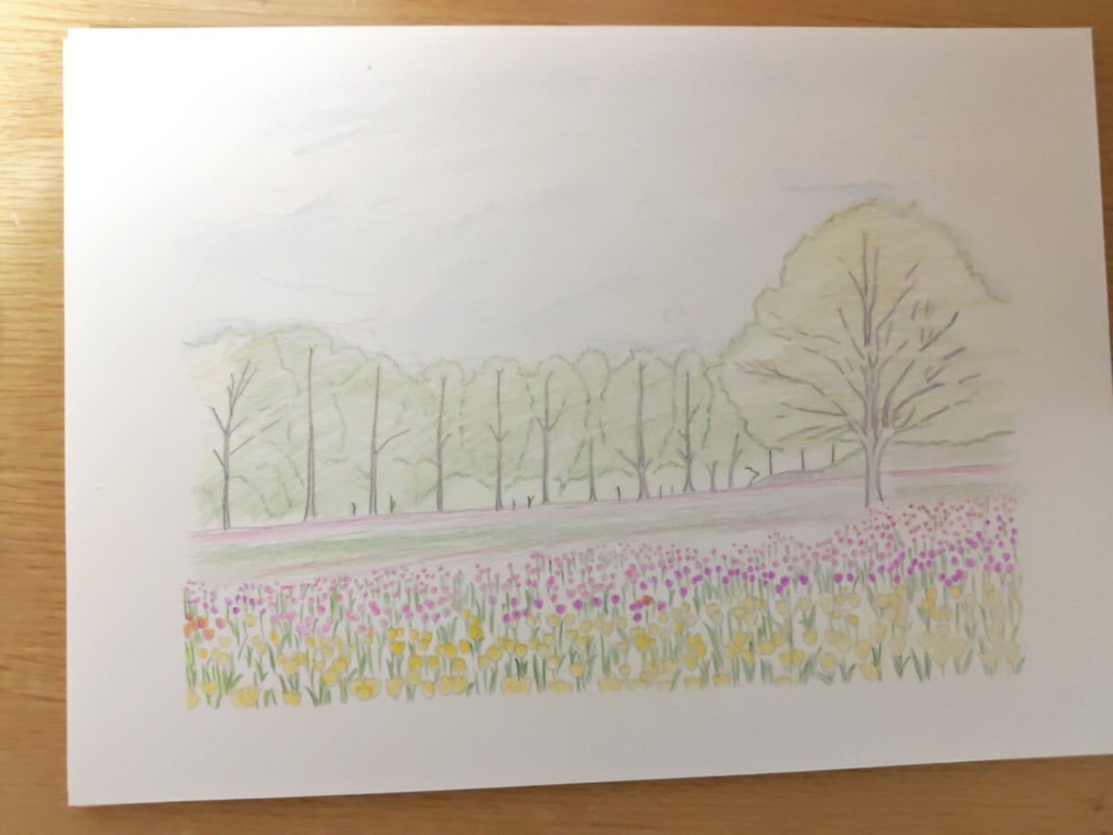 写真などデザインを元に塗り絵作成いたします 丁寧に制作させていただきます。 イメージ5