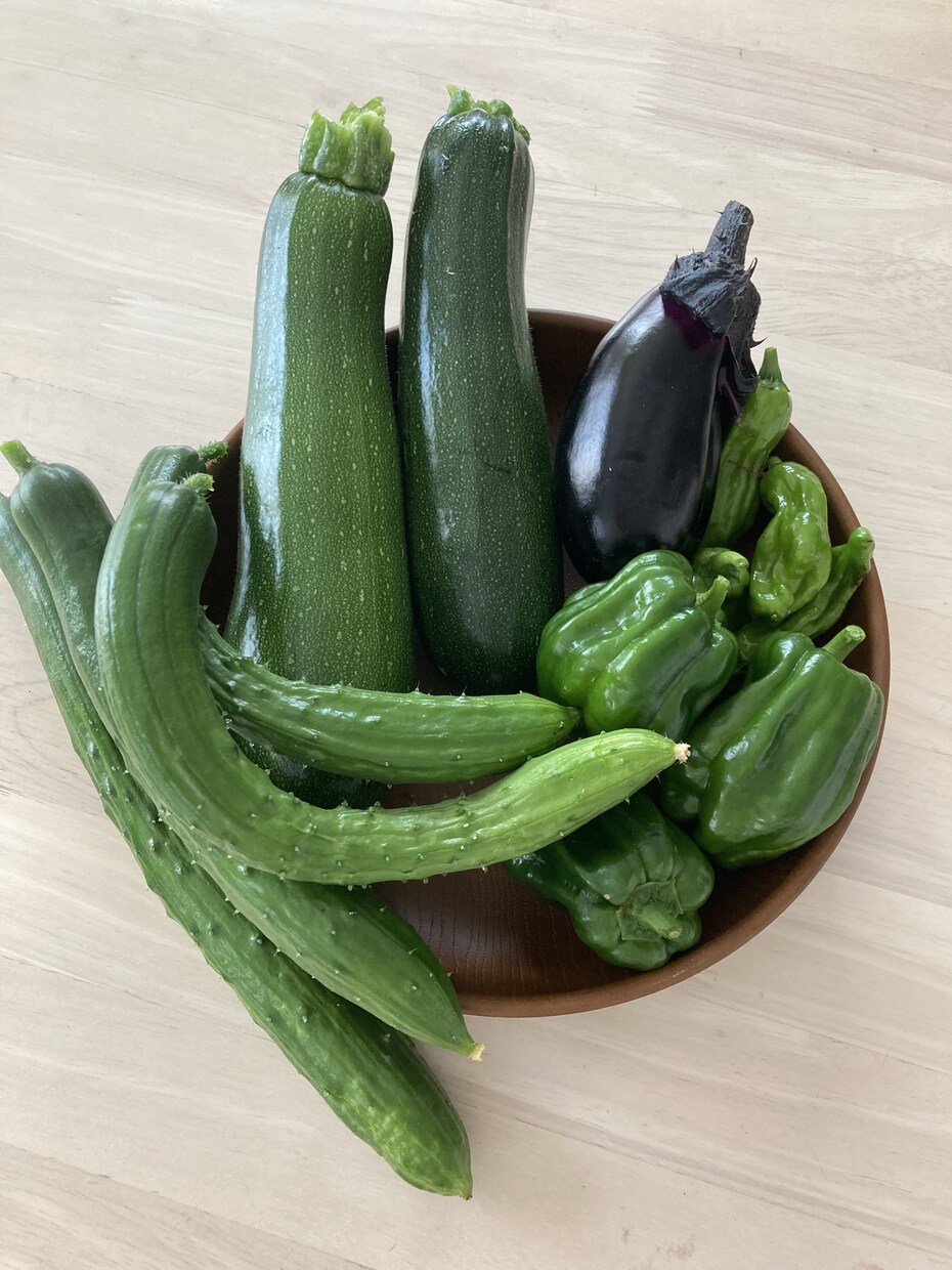 家庭菜園初心者さん向けアドバイスをします 小さな庭でも一緒に野菜づくり楽しみましょう！ イメージ3