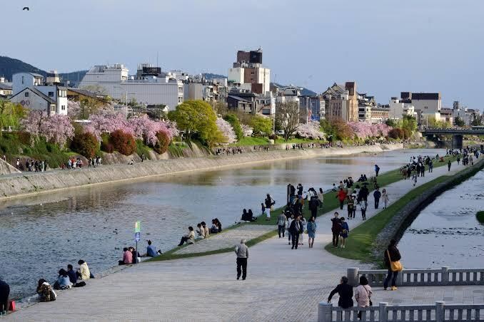 京都生まれ京都育ちの京都人が観光のお手伝いをします 生粋の京都人が京都観光を何倍も楽しめる情報を提供いたします イメージ4