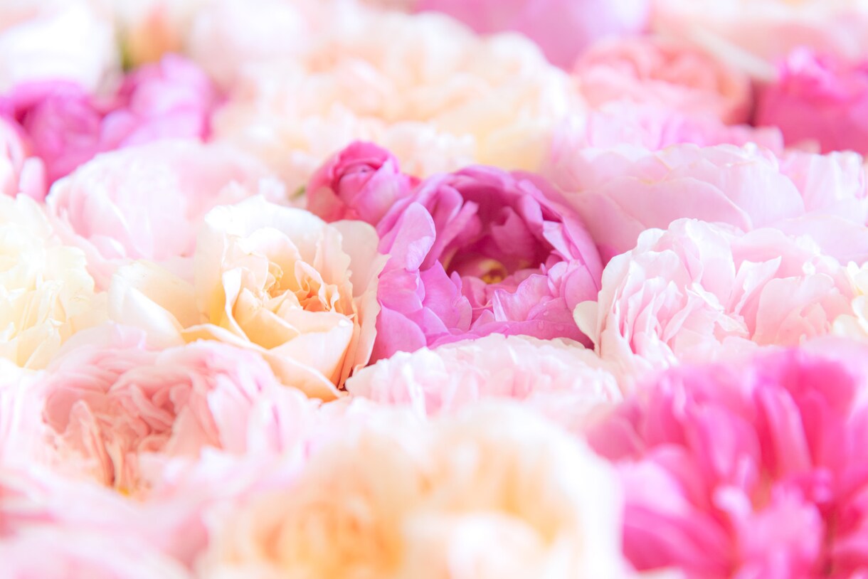 お相手の気持ちみます ♡恋愛、人間関係でお困りの方♡　ボリューム鑑定♪ イメージ2
