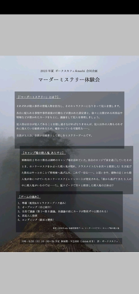 演劇やイベントのフライヤーを作成します A4片面でした早くて1日で納品可能です。（要相談） イメージ2