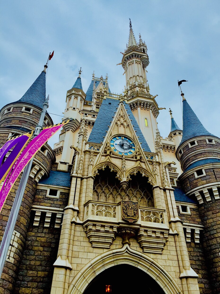 東京ディズニーランド·シーの旅行プラン計画します 自分だけの特別なプランでディズニーを楽しみましょう！！ イメージ4